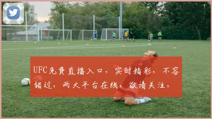 UFC免费直播入口，实时精彩，不容错过，两大平台在线，敬请关注，精彩赛事，等你来观